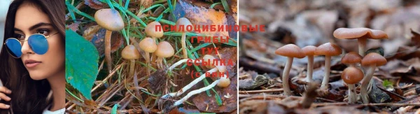 молекула духа Елабуга