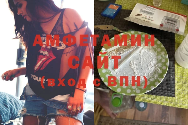 крисы Ельня