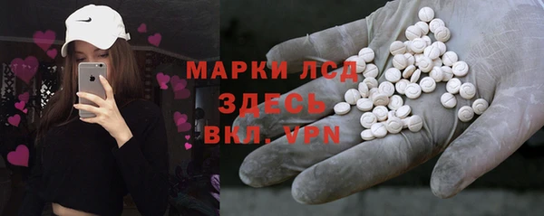 крисы Ельня
