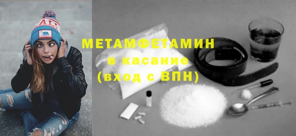 крисы Ельня