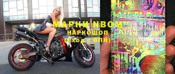 крисы Ельня