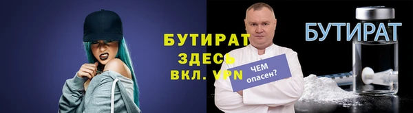 крисы Ельня
