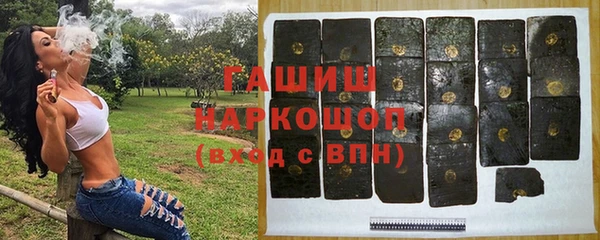 молекула духа Елабуга