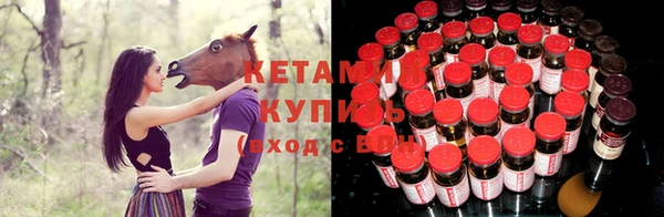 молекула духа Елабуга