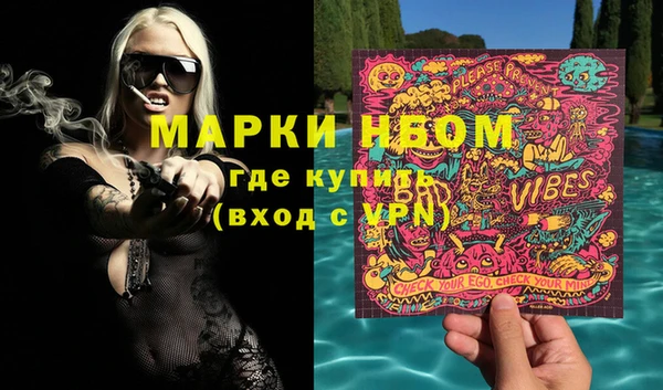 крисы Ельня