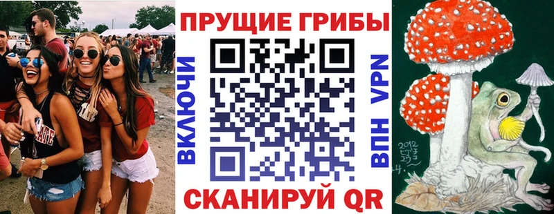 Псилоцибиновые грибы Cubensis  Купить  Лебедянь 